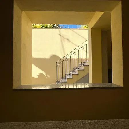 Papi * 산테오도로