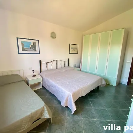 Papi 산테오도로